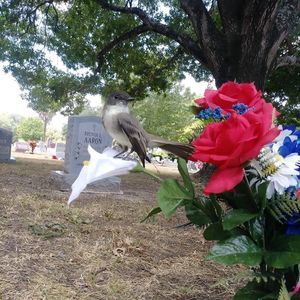 Meet your Posher, Rita